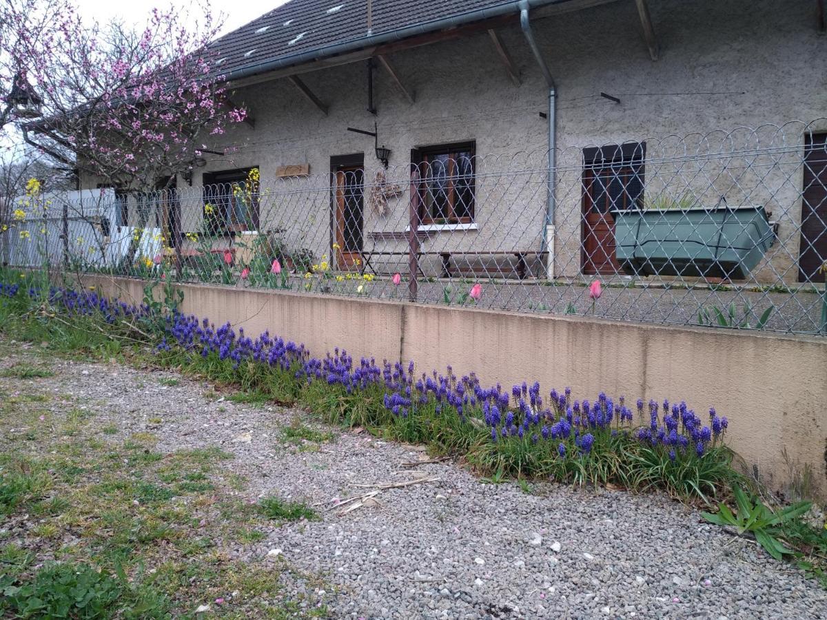 Apartament Chez Domi Syl Gite Nature Colonne Zewnętrze zdjęcie